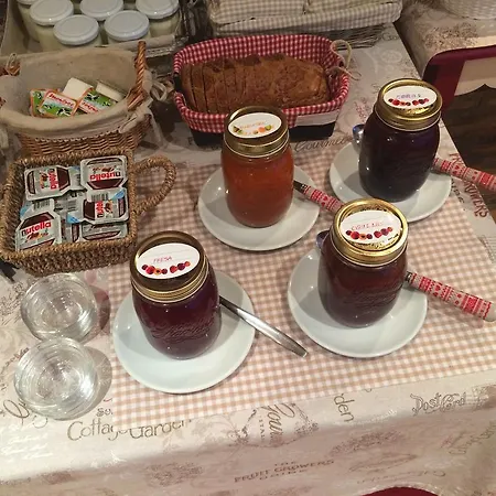 Ostau D'oc Βιέλα